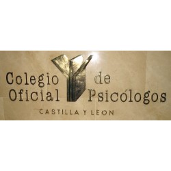 Colegio Oficial de Psicólogos 22-002