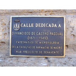 Placa en Bronce 27-020