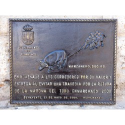 Placa en Bronce 27-022